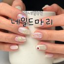 네일드마리