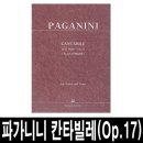 칸타빌레 바이올린 이미지