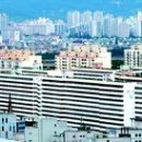 강남-115 이미지