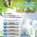 민트크린