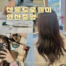 중앙동-03 | 안산 중앙동 미용실 살롱드로웰미 지현 준디자이너 둥근형 염색 레이어드컷