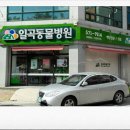 코아동물병원 이미지