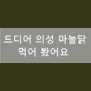 오토산농장