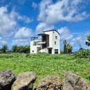 리버풀앤스파 이미지