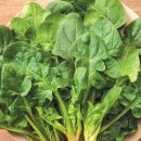 비금농장 이미지