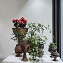 청재기획 | 대전 유성구 볼거리 추천 JISO's [더시즌즈] OPEN!