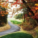 뉴스프링빌2 이미지