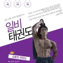 일비태권도장 이미지