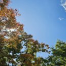 현대정신과의원 이미지