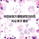 벨톤 보청기 광천지사 | 이천보청기 벨톤보청기이천지사 후기 좋은