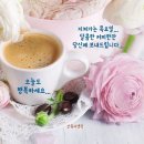 선화양봉 이미지