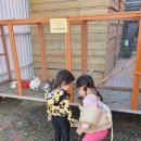 [명지/강서구]여름시즌 시작!신상 키즈카페 노리터349부산 방문후기