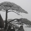 황산여관 이미지