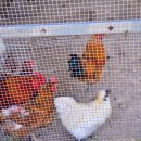 하늘펜션 민박 이미지