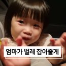 무릉이가 이미지