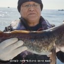 G5154 네이버블로그