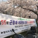 여좌천로 이미지