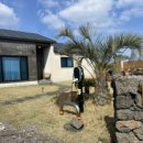 스테이 안셈 이미지