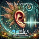 해밀보청기센터 이미지