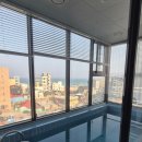 스카리아 | [강릉] 풀빌라 추천｜스카리아풀빌라 솔직 후기 내돈내산