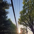 수출대로-8 이미지