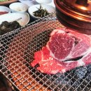 힐링정육식당 이미지