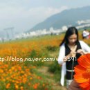 곱돌이와 낙순이 이미지