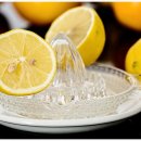 레몬의 꿈 이미지