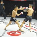 양지로1R 이데일리