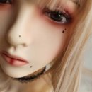 81 이미지