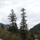 황룡 산장 이미지