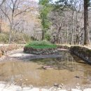 순천-46호 이미지