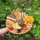 약선오리