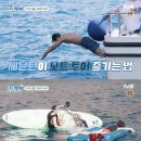 진솔투어