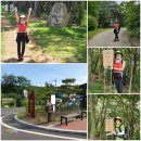 넙치민박 이미지