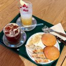 연일농장 | 포항 연일 카페 허니웍스 추천 동물이 있는 아이랑 갈만한 곳