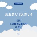 오오키이 이미지