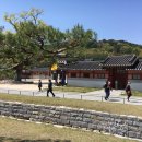 수원-1839 네이버블로그