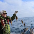 해변 낚시마트 이미지