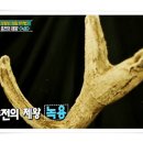 상대농장 이미지