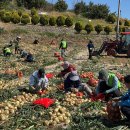 여수농업기술센터 이미지