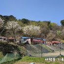 봉화산 족구장 이미지