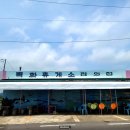 제주목화 이미지