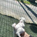 가평더뮤즈펜션 이미지