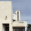 김군게스트하우스 | 제주공항 근처 혼여행의 성지 게스트하우스 - 김군빌리지 게스트하우스(저녁파티 후기)