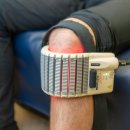 휘트니스 트리 이미지