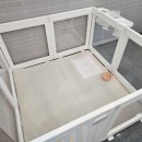 그랜드 애견 미용 이미지