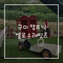 [구미 아이와 가볼만한곳] 옐로우레빗츠 캠프닉, 초딩 생일파티 대성공 후기 (물놀이부터 에어바운스까지!)