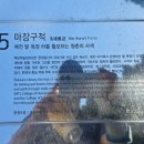 높은터목장 이미지