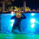 탑스텐 빌라드애월 이미지